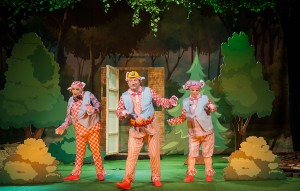 Cei-trei-purcelusi-10