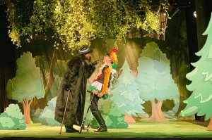 Cei-trei-purcelusi-14