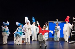 aventurile-lui-nils-2