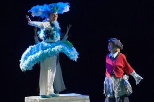 aventurile-lui-nils-5